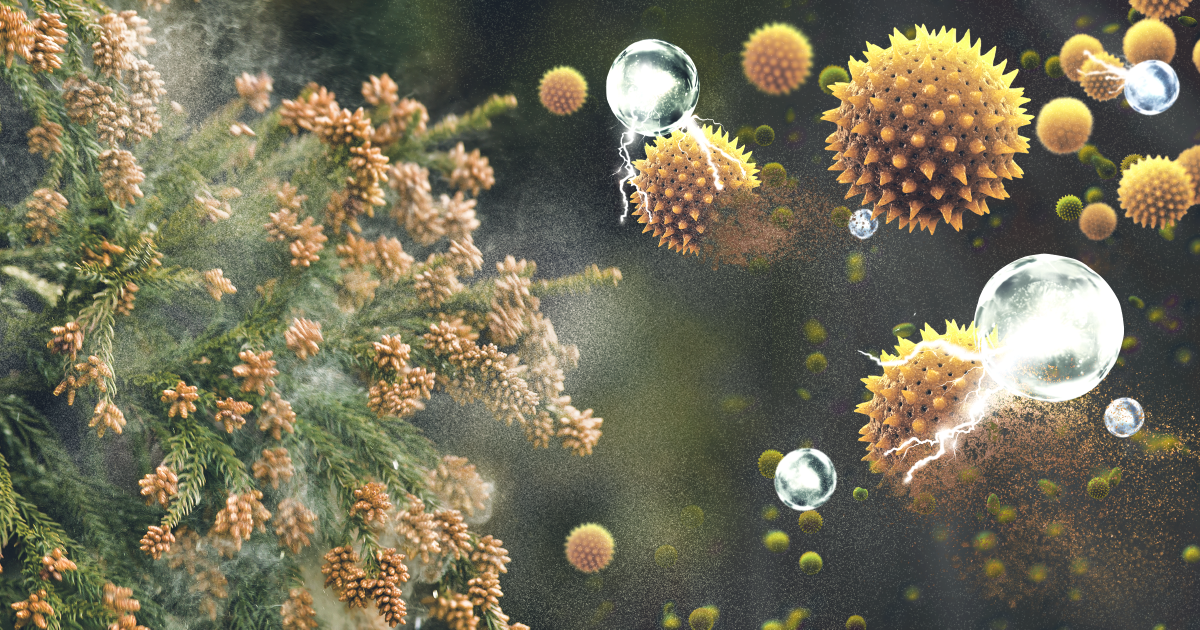 花粉の季節は腸内環境がカギ？春の体調管理と免疫バランス